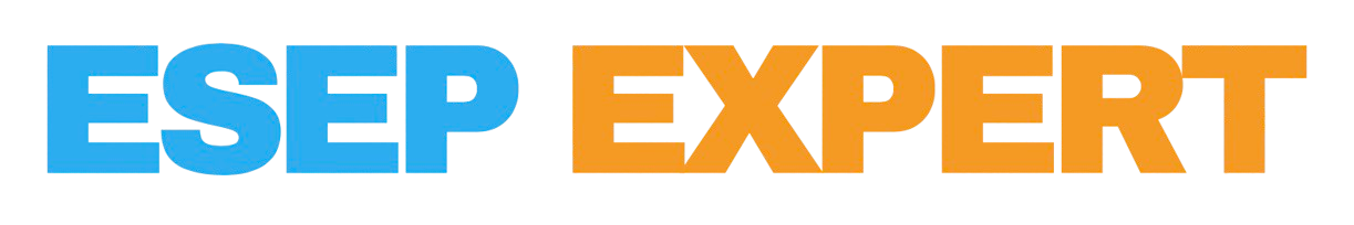 ESEP EXPERT accounting services